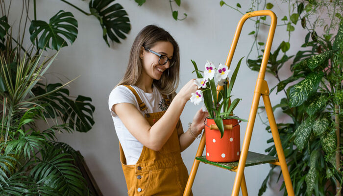 6 common gardening mistakes to avoid